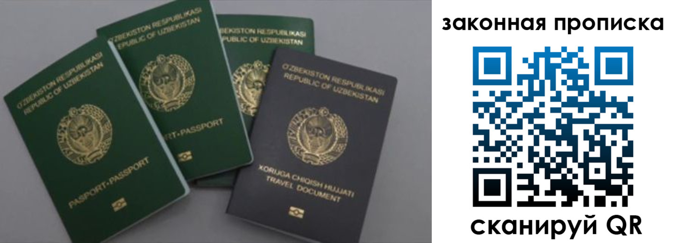 прописка законно в Новотроицке